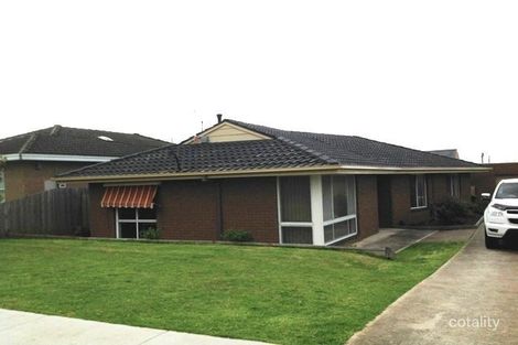 Property photo of 35 Graylea Avenue Herne Hill VIC 3218