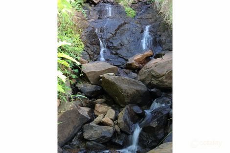 Property photo of 65 McCarthy Shute Road Maleny QLD 4552