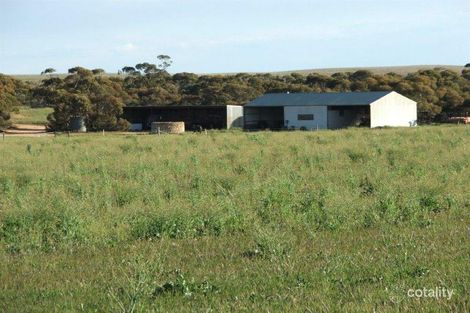 91 Munchenberg Rd, Veitch, SA 5311