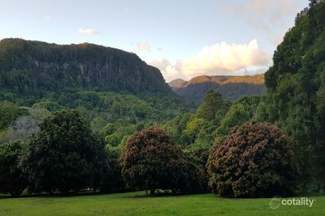 21 Snows Creek Rd, Upper Coopers Creek, NSW 2482