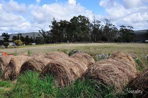 Property photo of 970 Pipers Brook Road Pipers Brook TAS 7254