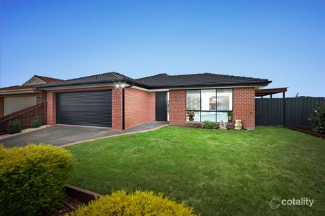 Property photo of 31 Shaftsbury Avenue Berwick VIC 3806
