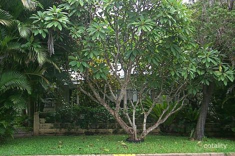 Property photo of 12 Riverview Terrace Mareeba QLD 4880