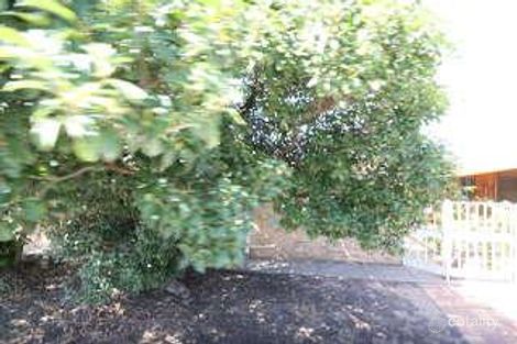 23 Mead Cres, Melrose Park, SA 5039