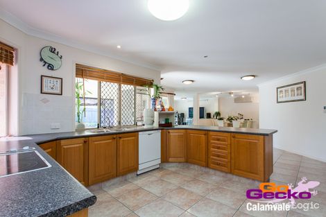 Property photo of 15 Redgum Place Calamvale QLD 4116