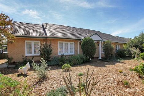 20 Nickels Ave, Park Holme, SA 5043