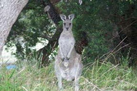 12 Sixth Ave N, Paradise Beach, VIC 3851