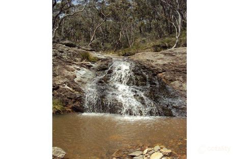 Property photo of 3951 Wells Access Road Wattle Flat NSW 2795