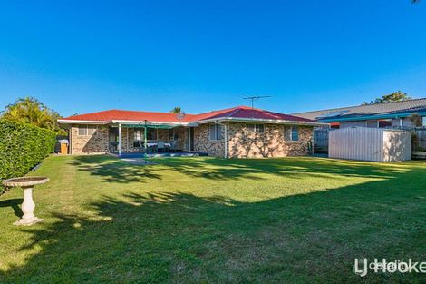 Property photo of 24 Grandis Crescent Victoria Point QLD 4165