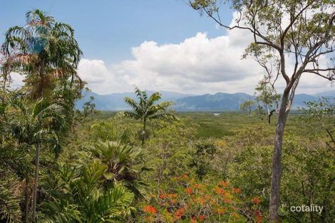 Property photo of 14 Pine Creek Yarrabah Road East Trinity QLD 4871