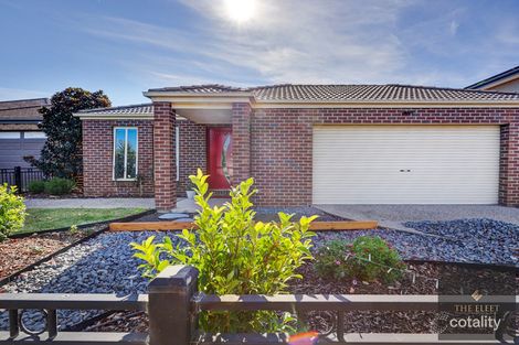 6 Harrington Ave, Tarneit, VIC 3029