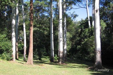 Property photo of 188 Trees Road Tallebudgera QLD 4228