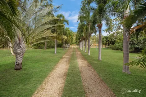 Property photo of 31 Chisholm Trail Oak Valley QLD 4811