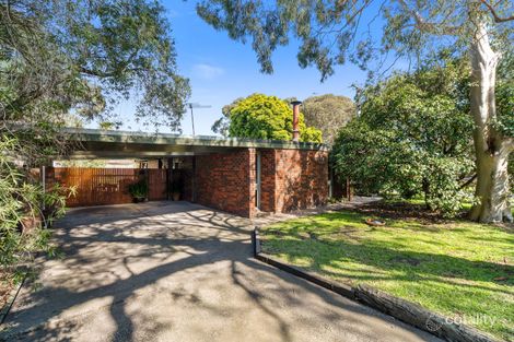 Property photo of 116 Austin Road Seaford VIC 3198