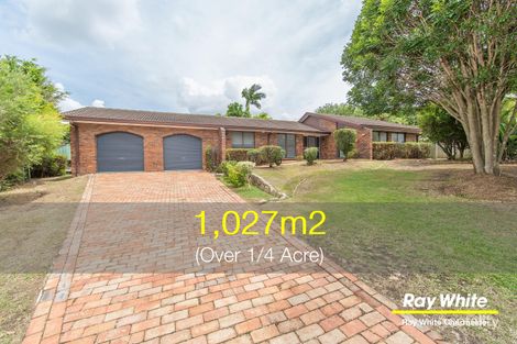 Property photo of 9 Lexia Place Carseldine QLD 4034