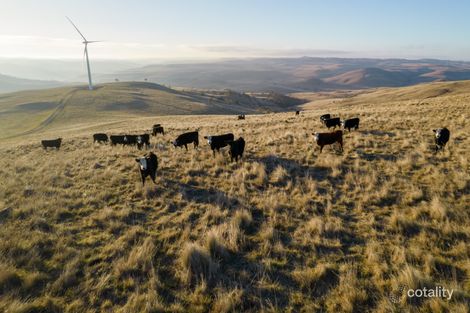 189 Avon Lake Rd, Springfield, NSW 2630