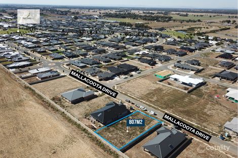 42 Mallacoota Dr, Kialla, VIC 3631