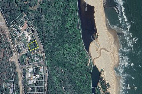 Property photo of 9 Hartley Street Wangetti QLD 4877