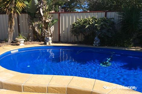 Property photo of 8 Colyton Street Torquay QLD 4655