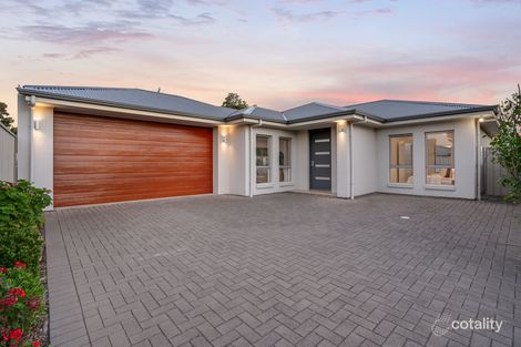 Property photo of 33A Allambee Avenue Edwardstown SA 5039