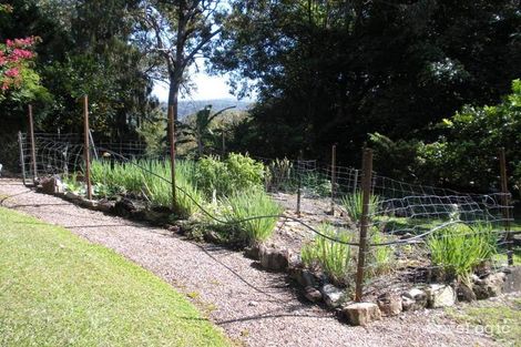 Property photo of 12 Kaalba Court Kiels Mountain QLD 4559