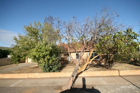 Property photo of 58 Cedar Avenue South Brighton SA 5048