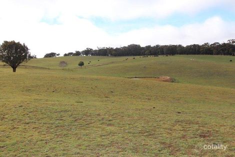 Lot 12 Old Trunk Rd, Arkell, NSW 2795