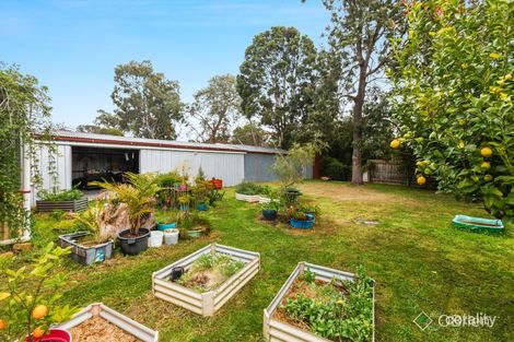 Property photo of 6 Medway Crescent Boronia VIC 3155
