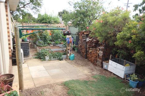 Property photo of 7A Trimdon Street Wagin WA 6315
