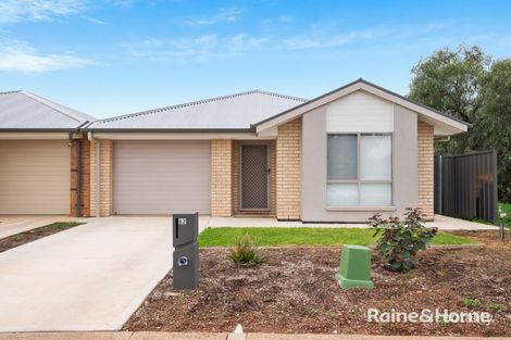 Property photo of 62 Petherton Road Davoren Park SA 5113
