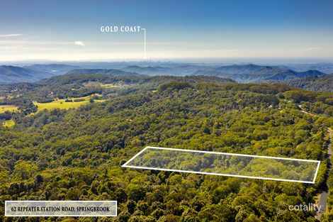 Property photo of 62 Repeater Station Road Springbrook QLD 4213