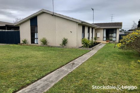 Property photo of 42 Maple Crescent Churchill VIC 3842