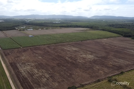 159 Eden Rd, Cowley, QLD 4871