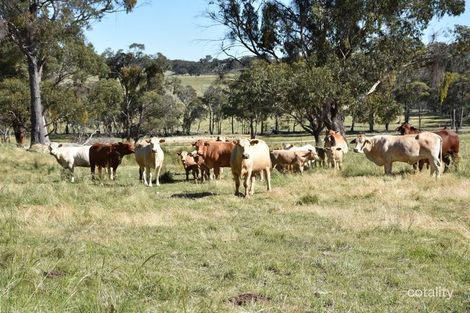 591 Yarraford Rd, Rangers Valley, NSW 2370