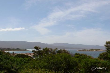 Property photo of 8 Waubs Court Bicheno TAS 7215