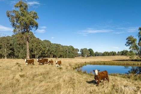 89 Rosewood Hills Rd, Rosewood, NSW 2652