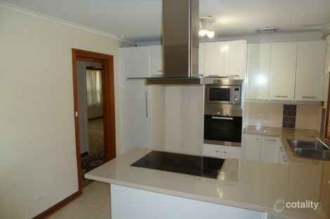 Property photo of 13 Quirke Avenue Morphettville SA 5043