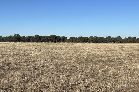 3652 Bribbaree Rd, Bribbaree, NSW 2594