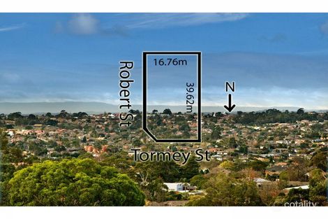 Property photo of 34 Tormey Street Balwyn North VIC 3104