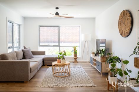Property photo of 1/4 Lorraway Street Holt ACT 2615