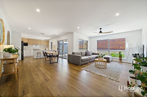 Property photo of 1/4 Lorraway Street Holt ACT 2615