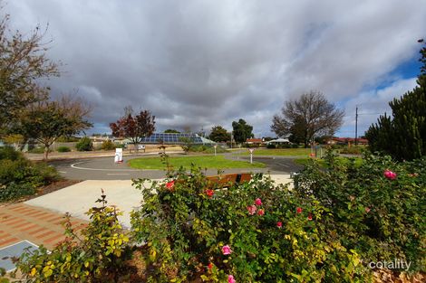 Property photo of 3 Wheatley Road Loxton SA 5333