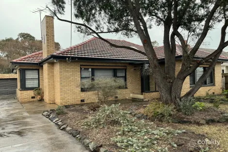 Property photo of 13 Gladstone Street Hamlyn Heights VIC 3215