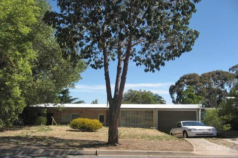 1 Beatrice Ave, Tea Tree Gully, SA 5091