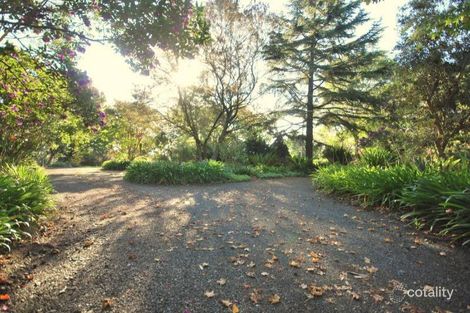 Property photo of 157 Bloodtree Road Mangrove Mountain NSW 2250