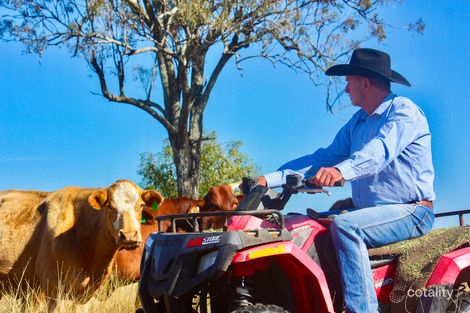 Property photo of 3876 Cunningham Highway Mutdapilly QLD 4307