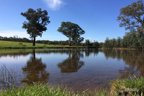 117 Whitegum Rd, Oakbank, SA 5243