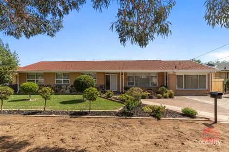 11 Quirke Ave, Morphettville, SA 5043