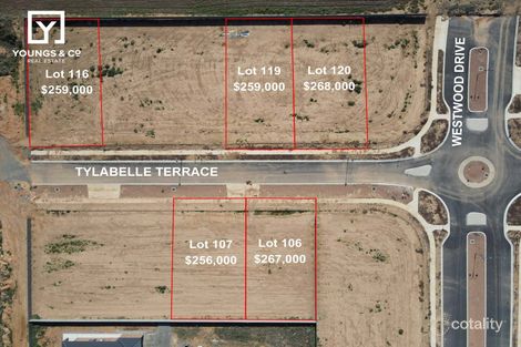 24 Tylabelle Tce, Mooroopna, VIC 3629