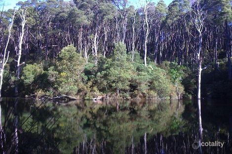 195 Dollar-Woorarra West Rd, Turtons Creek, VIC 3960